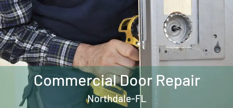 Commercial Door Repair Northdale-FL