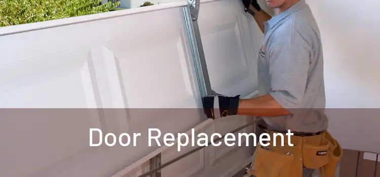  Door Replacement 