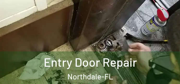  Entry Door Repair Northdale-FL