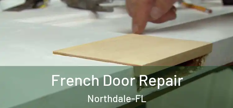 French Door Repair Northdale-FL