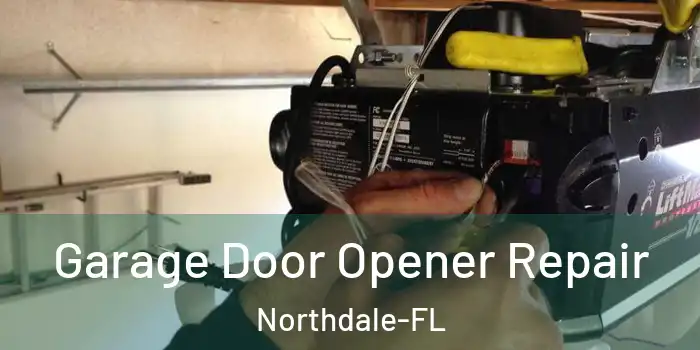Garage Door Opener Repair Northdale-FL