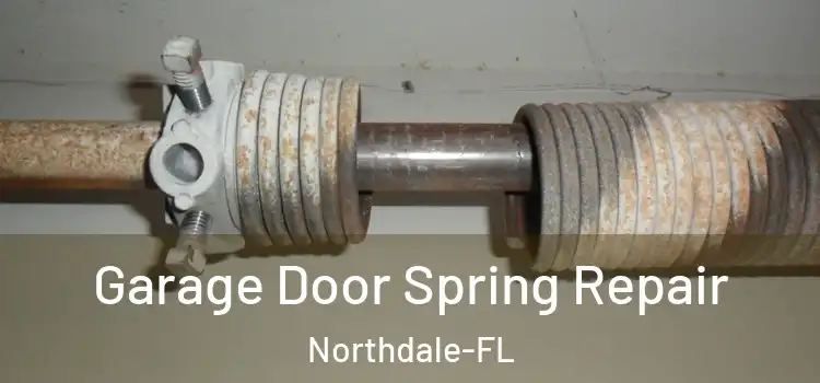  Garage Door Spring Repair Northdale-FL