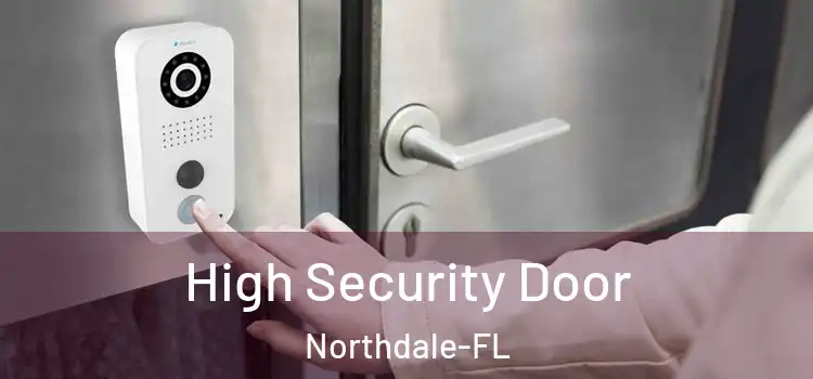  High Security Door Northdale-FL