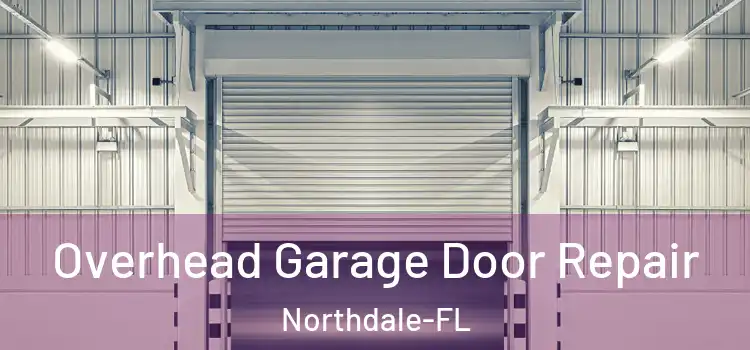  Overhead Garage Door Repair Northdale-FL