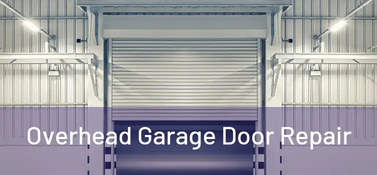  Overhead Garage Door Repair 