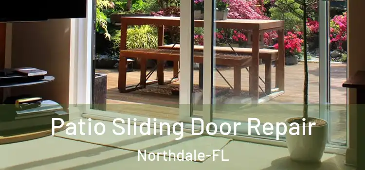 Patio Sliding Door Repair Northdale-FL