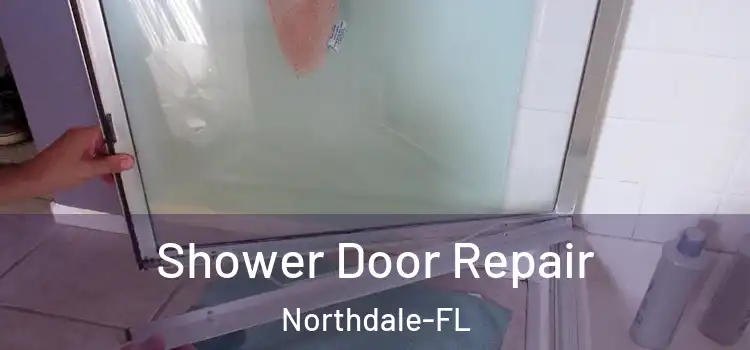  Shower Door Repair Northdale-FL