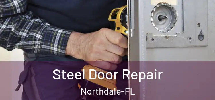  Steel Door Repair Northdale-FL